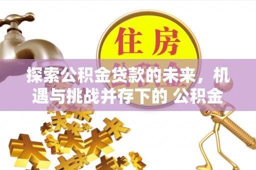 龙城探索公积金贷款的未来，机遇与挑战并存下的 公积金贷款风险防控