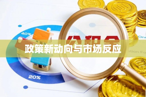 龙城政策新动向与市场反应