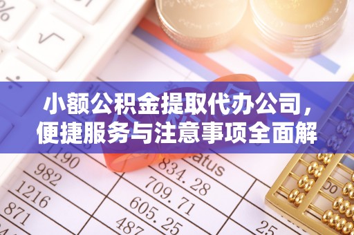 龙城小额公积金提取代办公司，便捷服务与注意事项全面解析