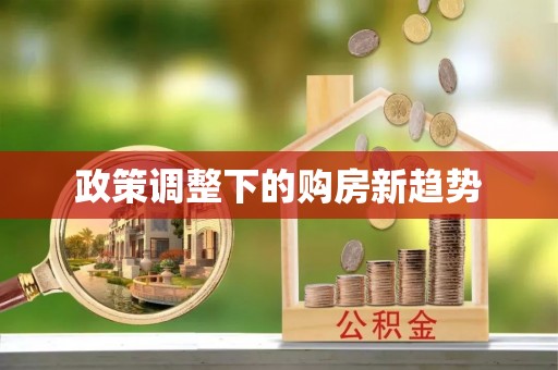 龙城政策调整下的购房新趋势