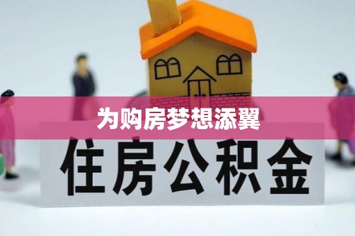 龙城为购房梦想添翼
