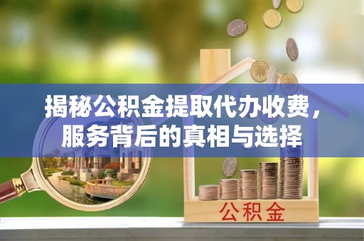龙城揭秘公积金提取代办收费，服务背后的真相与选择