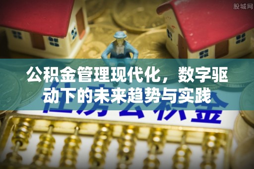 龙城公积金管理现代化，数字驱动下的未来趋势与实践