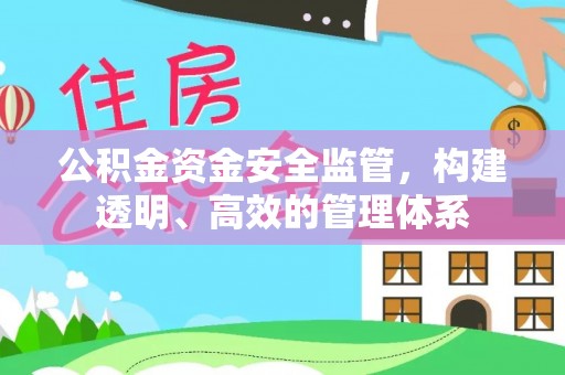 龙城公积金资金安全监管，构建透明、高效的管理体系