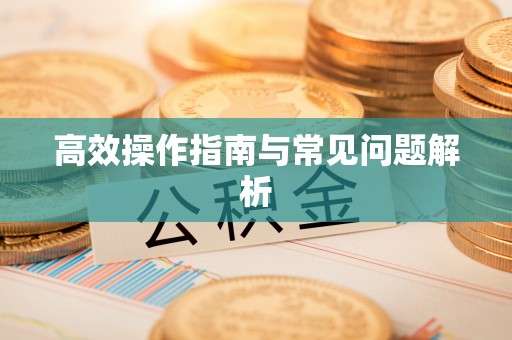 龙城高效操作指南与常见问题解析