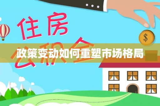 龙城政策变动如何重塑市场格局
