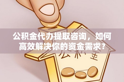 龙城公积金代办提取咨询，如何高效解决你的资金需求？