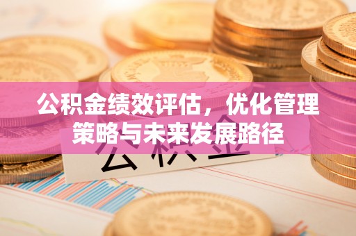 龙城公积金绩效评估，优化管理策略与未来发展路径