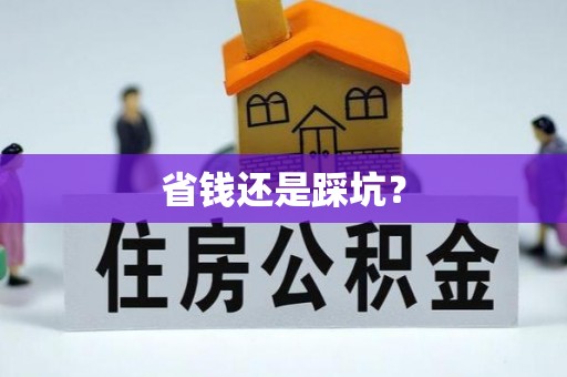 龙城省钱还是踩坑？