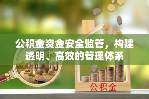 龙城公积金资金安全监管，构建透明、高效的管理体系