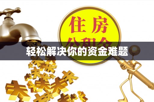 龙城轻松解决你的资金难题