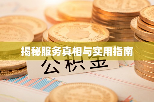 龙城揭秘服务真相与实用指南