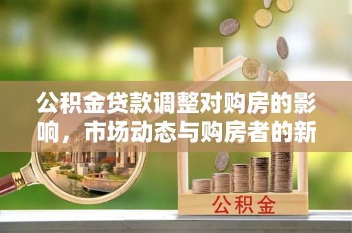 龙城公积金贷款调整对购房的影响，市场动态与购房者的新选择