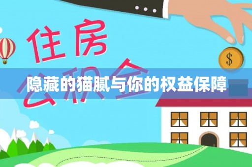 龙城隐藏的猫腻与你的权益保障