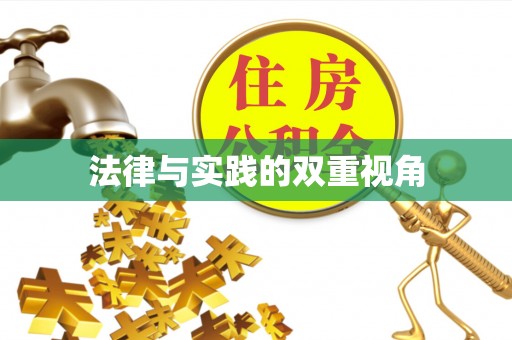 龙城法律与实践的双重视角