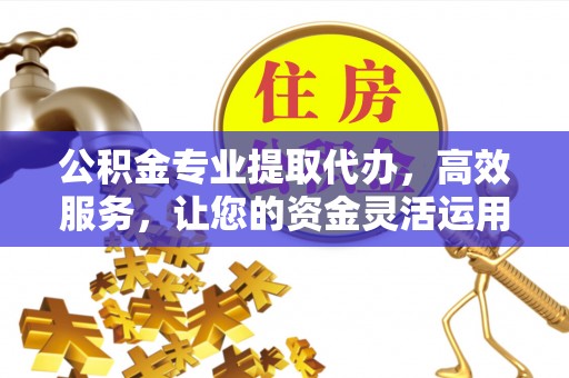 龙城公积金专业提取代办，高效服务，让您的资金灵活运用