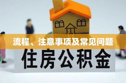 龙城流程、注意事项及常见问题