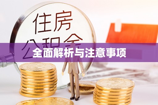龙城全面解析与注意事项