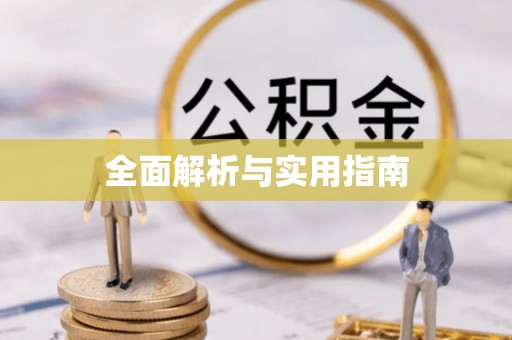 龙城全面解析与实用指南