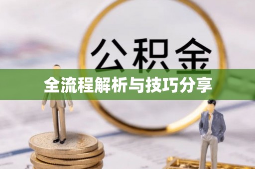 龙城全流程解析与技巧分享