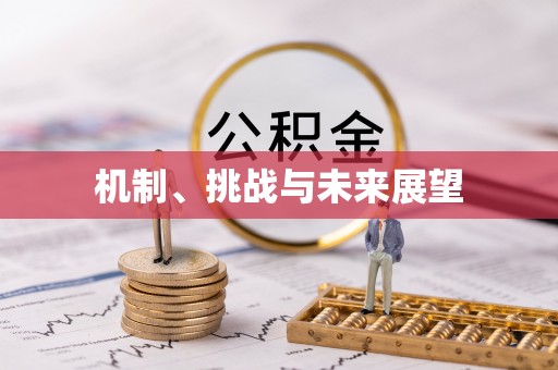 龙城机制、挑战与未来展望