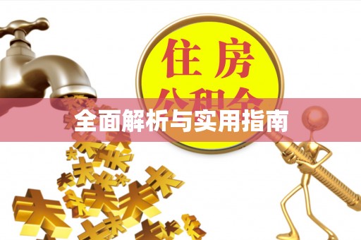 龙城全面解析与实用指南